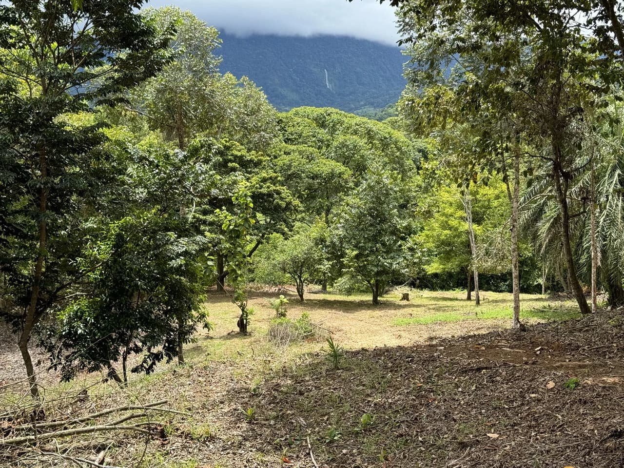 Diamante Waterfall View Land in Dominical 2.9 Acres - photo 27
