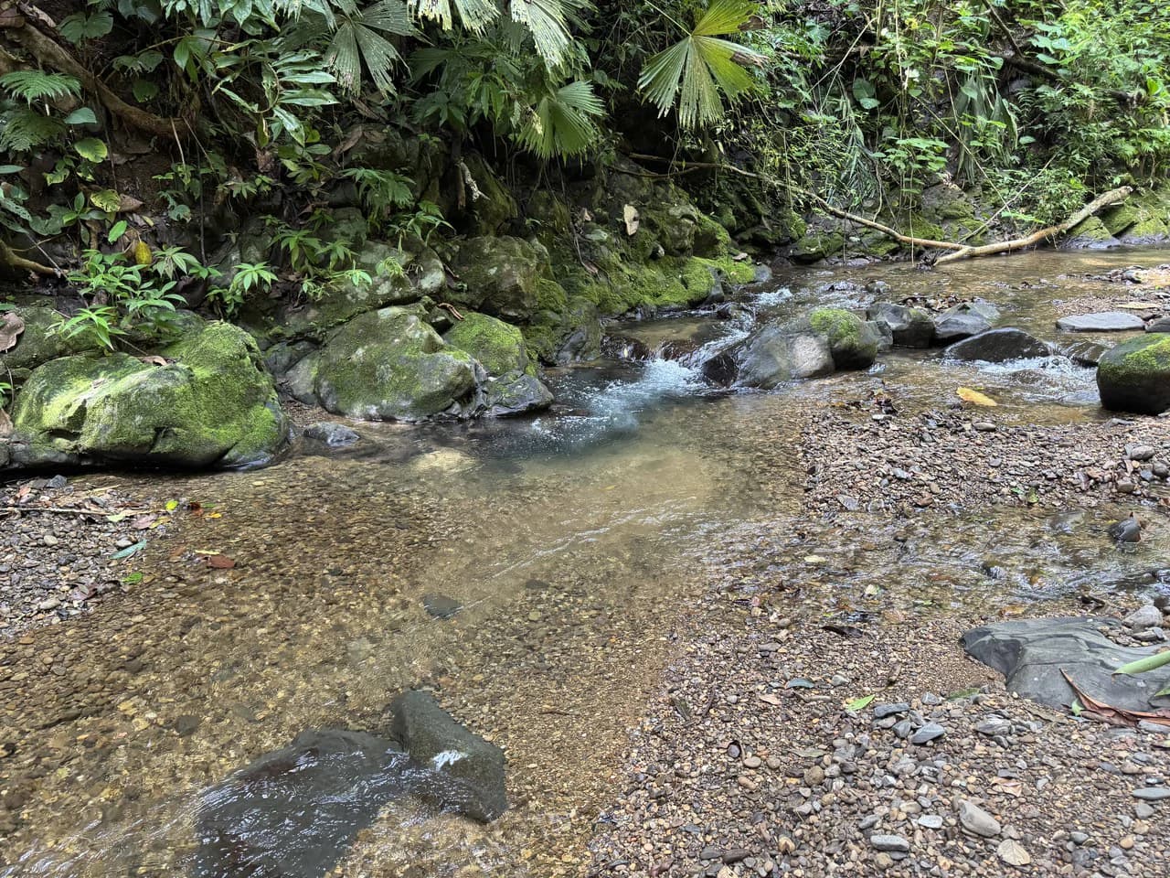 23.5 Acre Waterfall & Riverfront Estate Bahia Ballena Osa Peninsula - photo 13