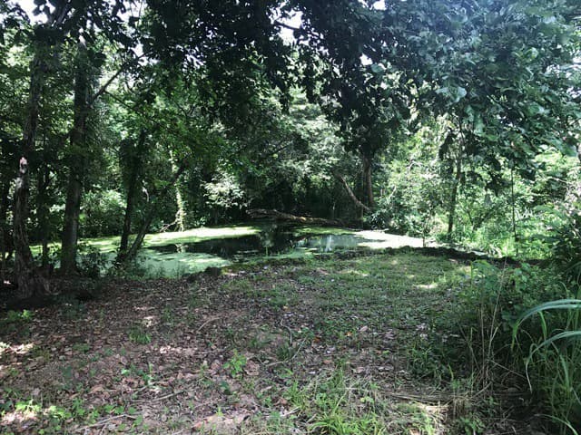 Large Development Land for Sale in Liberia, Guanacaste, Costa Rica - photo 16