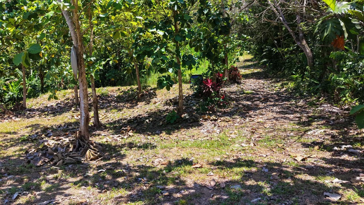 Near the Coast Home Construction Site For Sale in Ciudad Cortés - photo 7