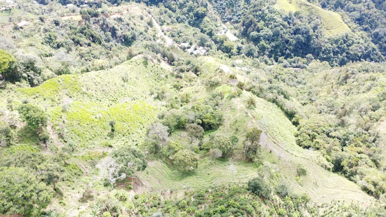 LOTE EN HERRADURA RIVAS.: Mountain Agricultural Land For Sale in San Isidro del General - photo 6
