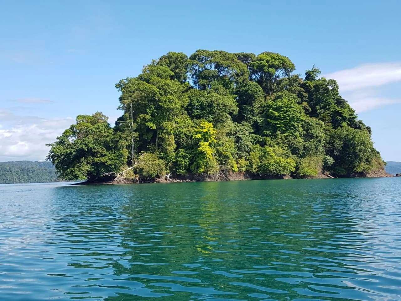 Nature Lover's Marina Resort Investment: Costa Rica South-Pacific Gulf Coast Marina, Rainforest Resort - photo 3
