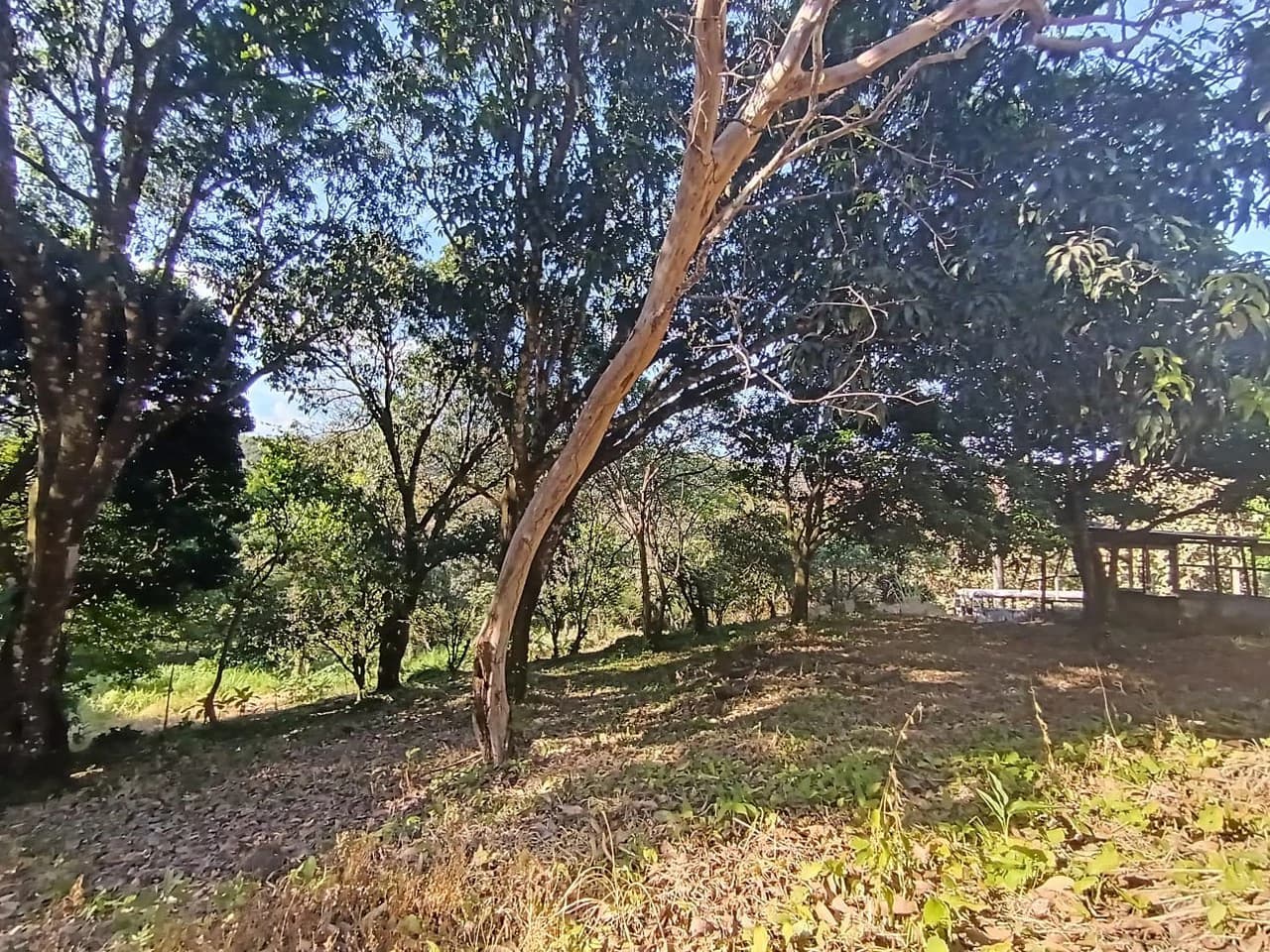 Property for sale in Ciudad Colon San José Costa Rica - photo 8