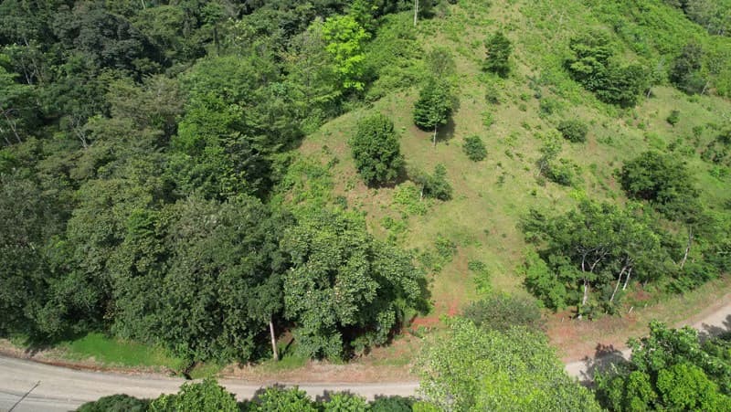 Ocean View & Primary forest 55-ha Rincon de Osa - photo 8