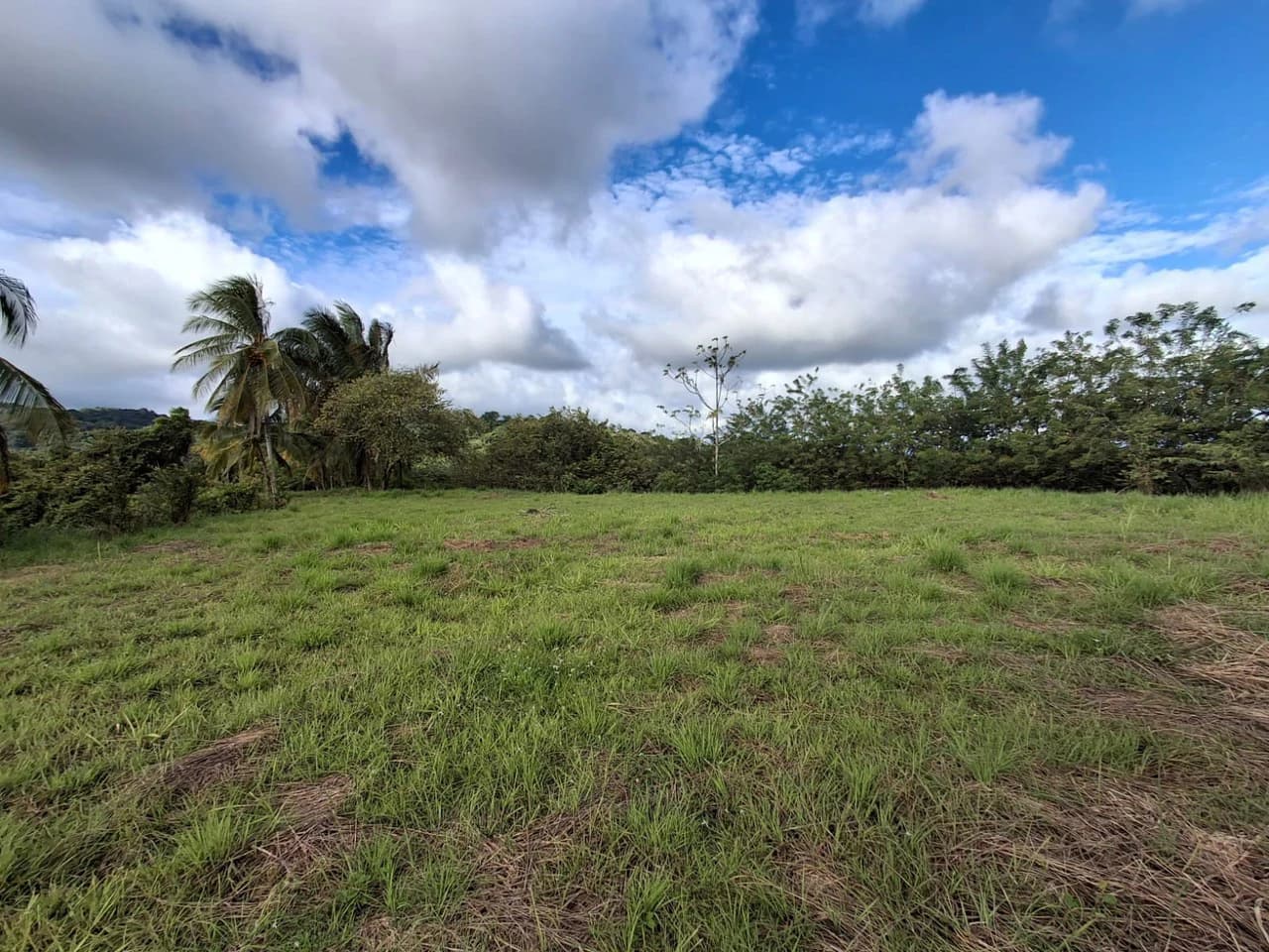 Hilltop Ocean Paradise: 10 ha (103,600m2) for private compound or development - photo 7