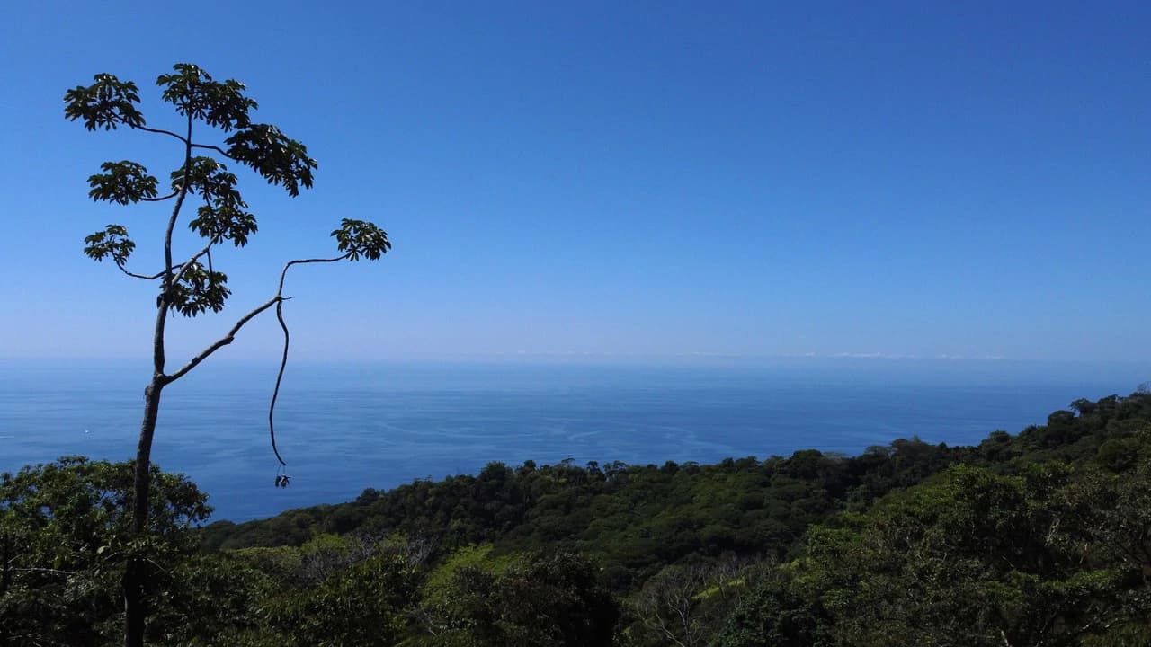 Exclusive 5.80 acres Ocean View Estate Lot in Costa Verde Estates – Escaleras - photo 13