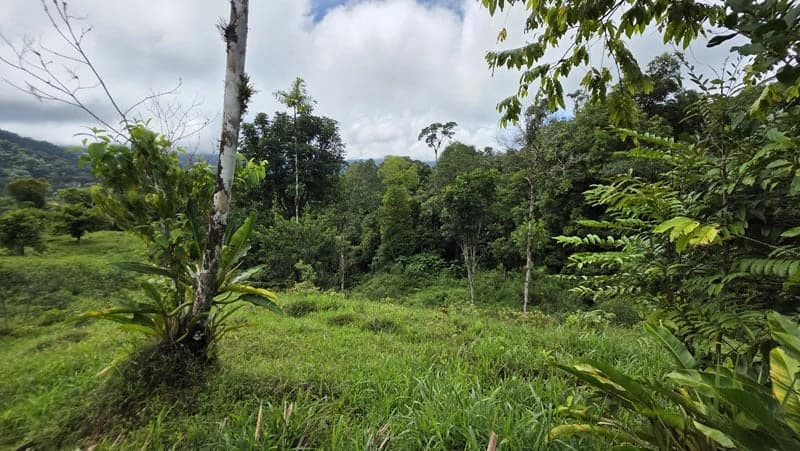 116-Hectare Finca for Sale Near Uvita with Whales Tail Views and 10 Waterfalls | La Faralla, Bahia Ballena, Uvita, Puntarenas, Costa Rica - photo 49