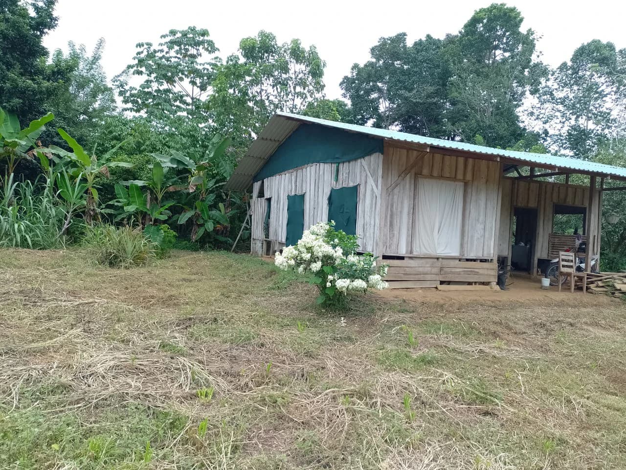 Costarican Casita in Peaceful Town