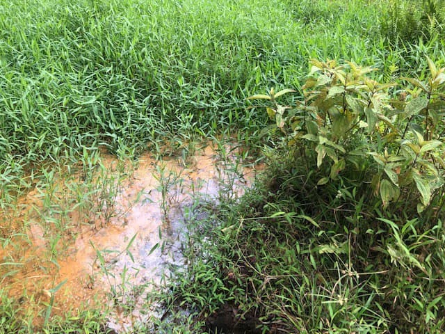 Hot and Cold Thermal Springs for Sale – Beautiful Property in Dos Ríos, Alajuela with Excellent Commercial Potential - photo 28