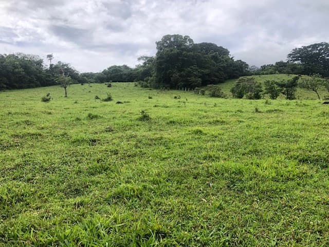 Warm Spring Mountain Property in a tropical landscape and antique wooden house, 50 minutes from Liberia city - photo 4