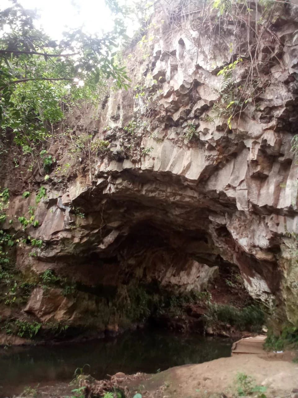 THE JEWEL OF GRECIA: $20m2 - 10 Hectares of Unlimited Potential! - photo 6