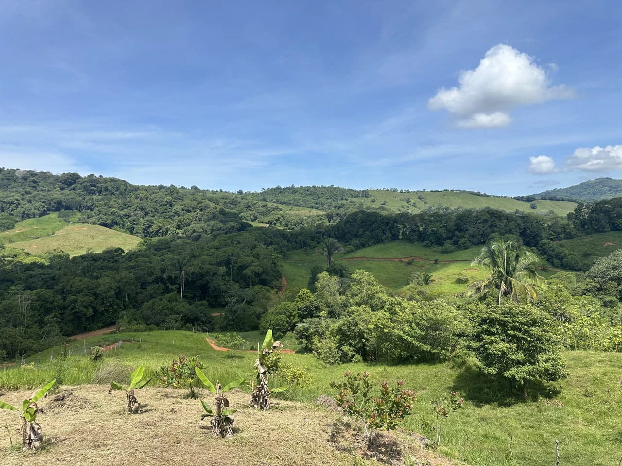 8.78 Acres Mountain View Estate with Water, Infrastructure & Endless Development Potential | Platanillo de Barú, Costa Rica - photo 16