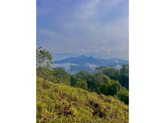 SPECTACULAR ECOLOGICAL MOUNTAIN FARM IN BIJAGUAL DE TURRUBARES - photo 19
