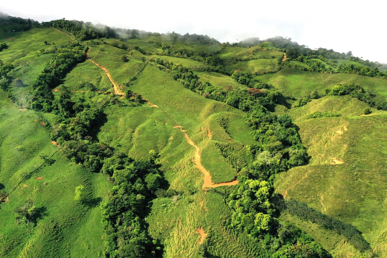 150 Acre Cattle Ranch with Panoramic Views Above the mountains of Uvita - photo 10