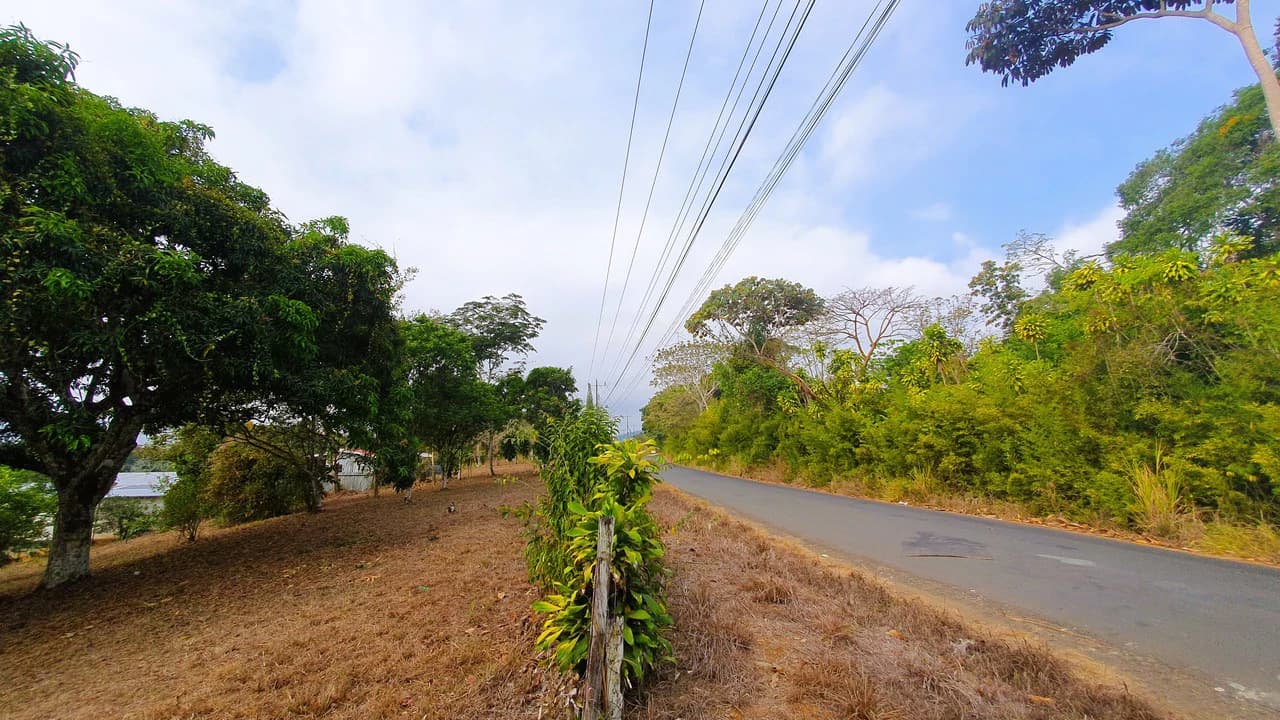 FRUIT TREE PROPERTY FOR SALE: Home Construction Site For Sale in San Isidro del General - photo 10