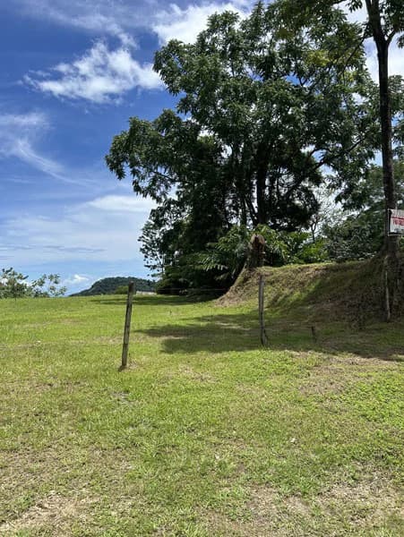 Panoramic 180 Degree Ocean View Lot Ready To Build Close To Ojochal - photo 12