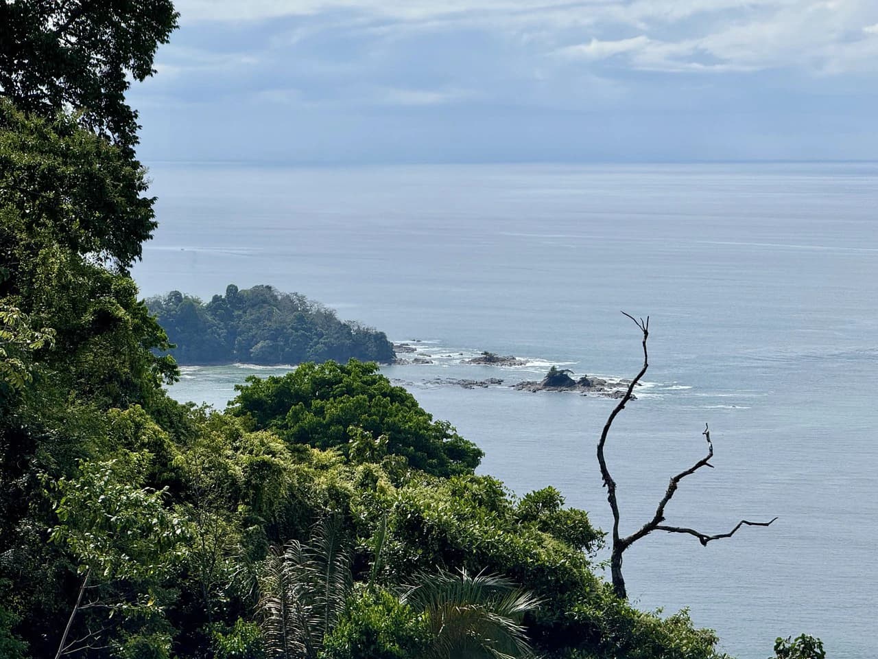 5.7 ACRES – The Best Ocean View Developement Property In Southern Costa Rica!!! - photo 9
