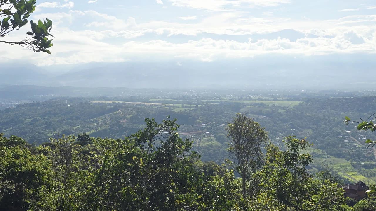 Mountain Agricultural Land For Sale in San Isidro del General - photo 4
