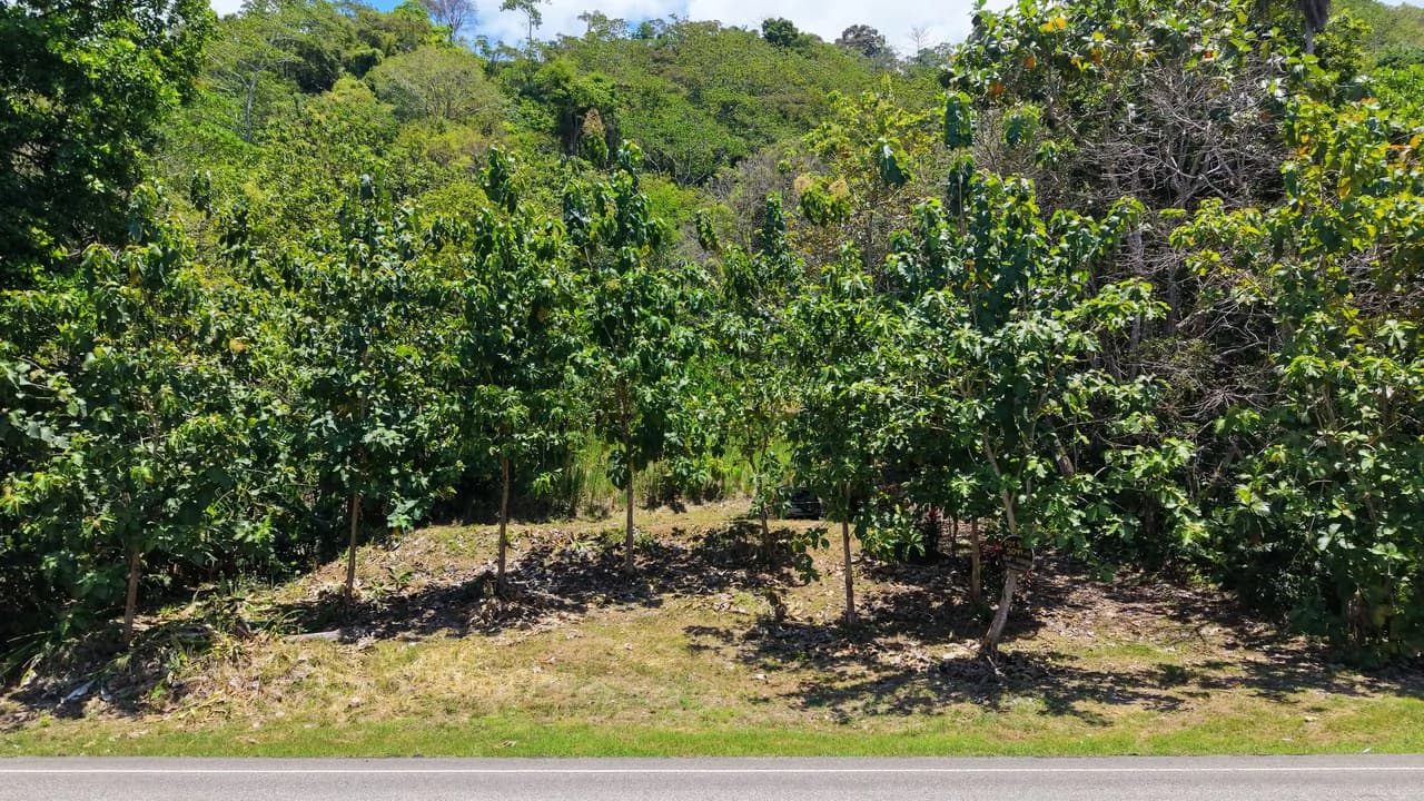 Near the Coast Home Construction Site For Sale in Ciudad Cortés - photo 22