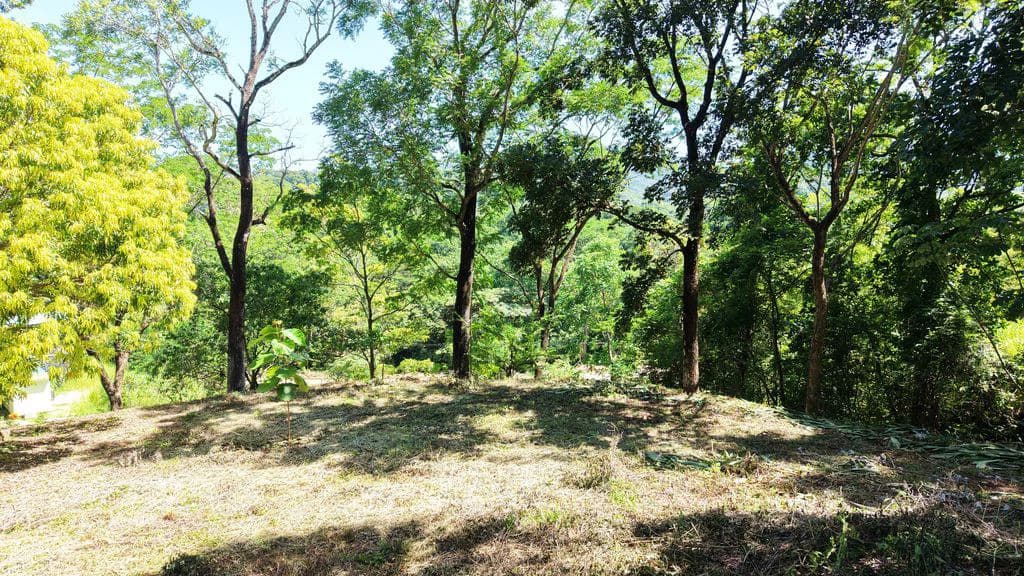 Lote Budry: Exclusive Elevated Lot with Stunning Mountain & Jungle Views Near Samara Beach - photo 4