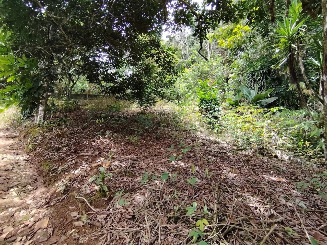 Home Construction Site For Sale in General Viejo - photo 8