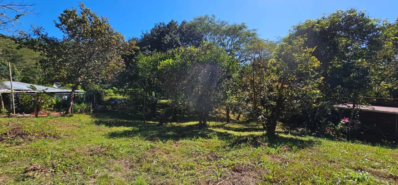 Nature's Gateway: Smart Choice Mixed-Use Property Near Carrillo Beach: Countryside Home Construction Site For Sale in Playa Carrillo - photo 7
