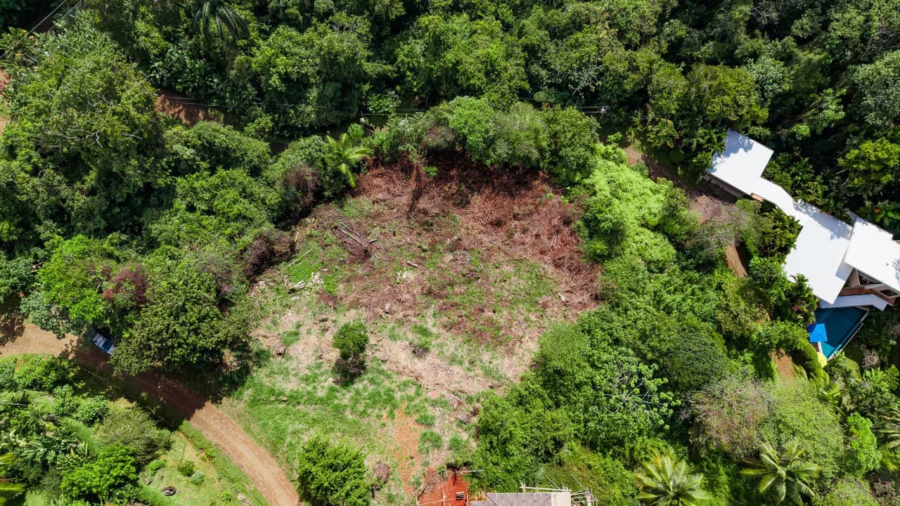 Luxury Ocean View Homesite in Escaleras Playa Dominical - photo 5