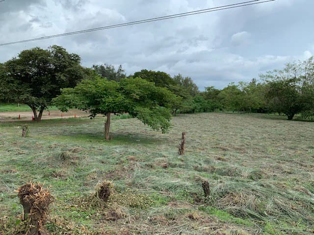 Sale commercial lot in front of the transito Liberia Guanacaste - photo 13