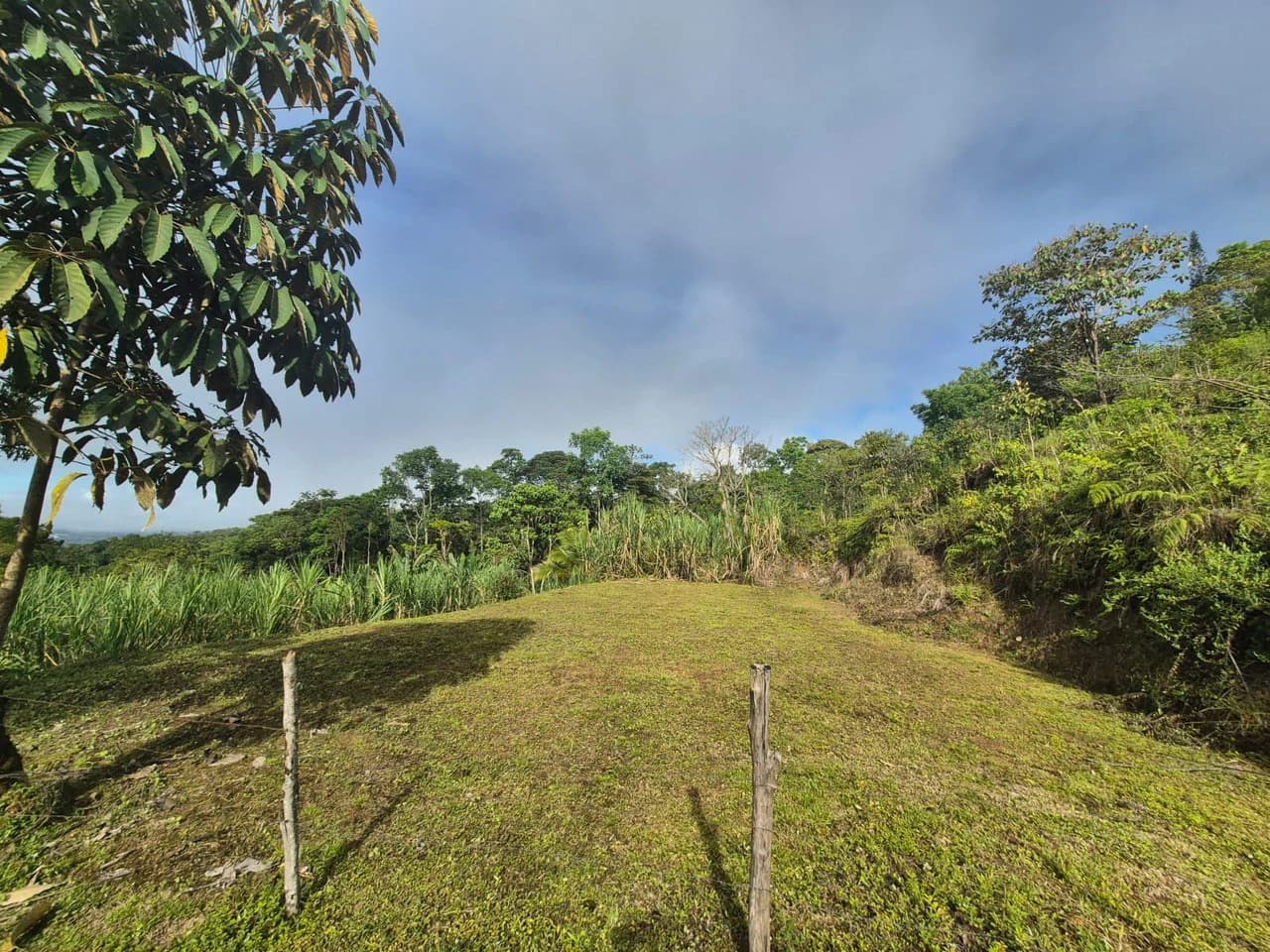 Propiedad en San Blas: Mountain Agricultural Land For Sale in La Linda General Viejo - photo 17