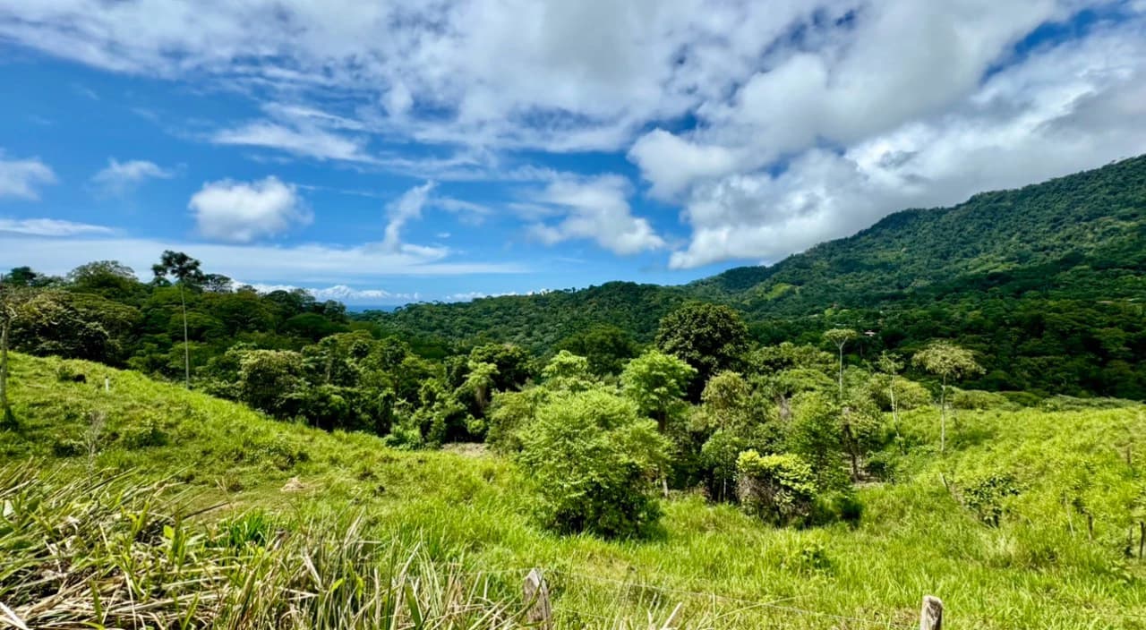 Spring and Waterfall! 3,2 Acres lot in Uvita Mountains - photo 4