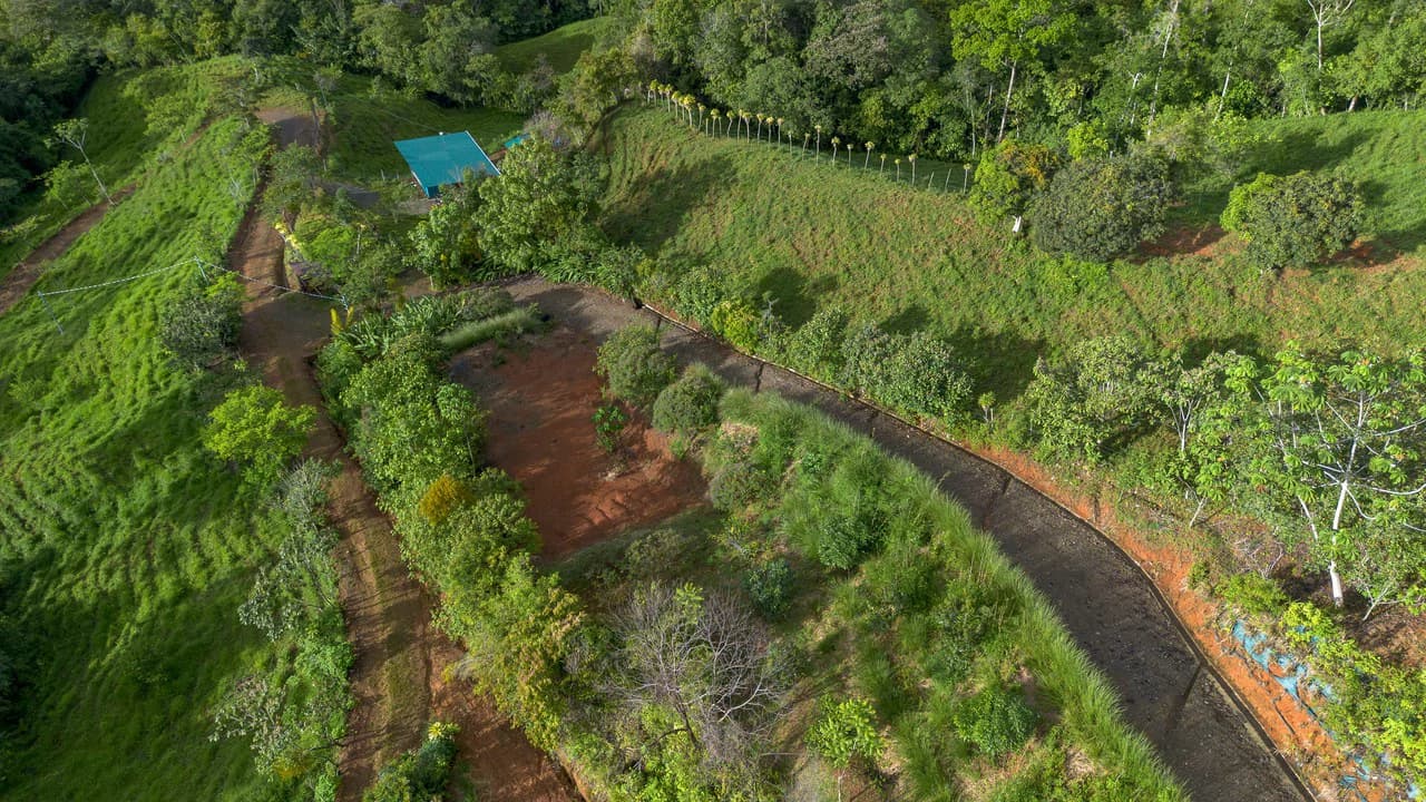 10.21 Acres with Views & Plantels – Pérez Zeledón - photo 27