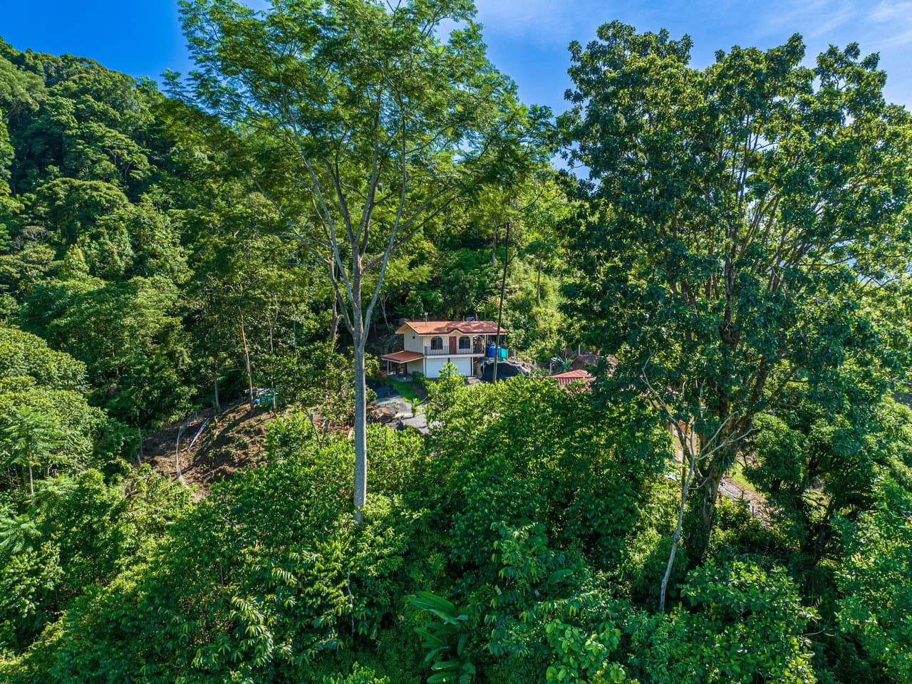 11.25 ACRES- 4 Bedrooms, Two Homes, Panoramic Ocean & Mountain Views With Stream, 30+ Fruit Trees, 40 Minutes to Quepos!!! - photo 2