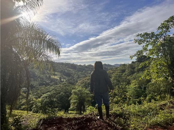 SPECTACULAR ECOLOGICAL MOUNTAIN FARM IN BIJAGUAL DE TURRUBARES - photo 24