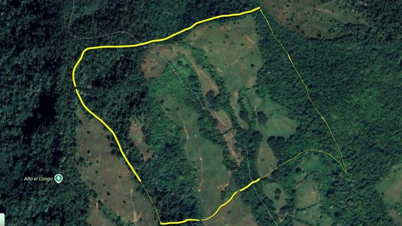 Off Grid 70-Hectare Farm with Stunning Ocean Views and Freshwater Springs - photo 6
