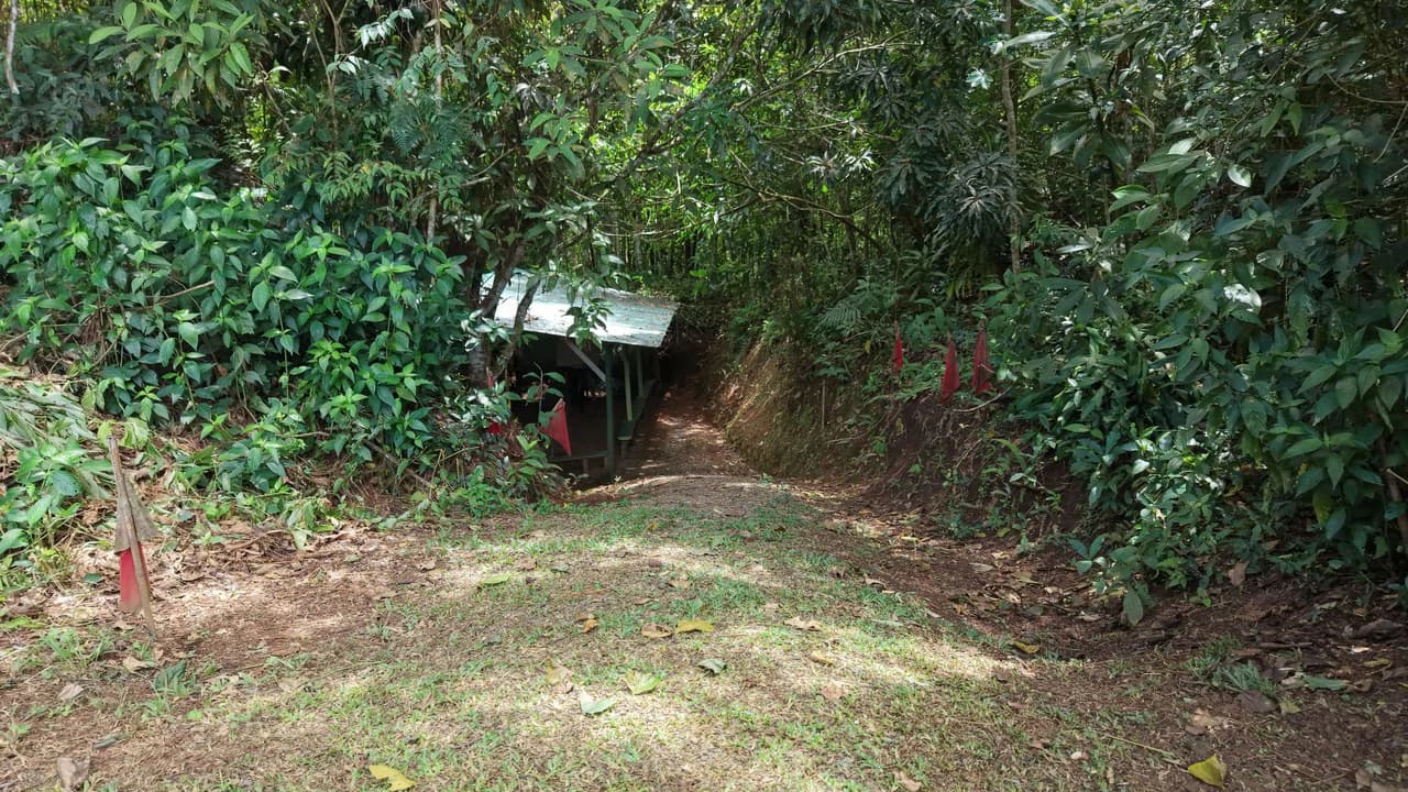 Mountain Home Construction Site For Sale in San Rafael Norte - photo 3