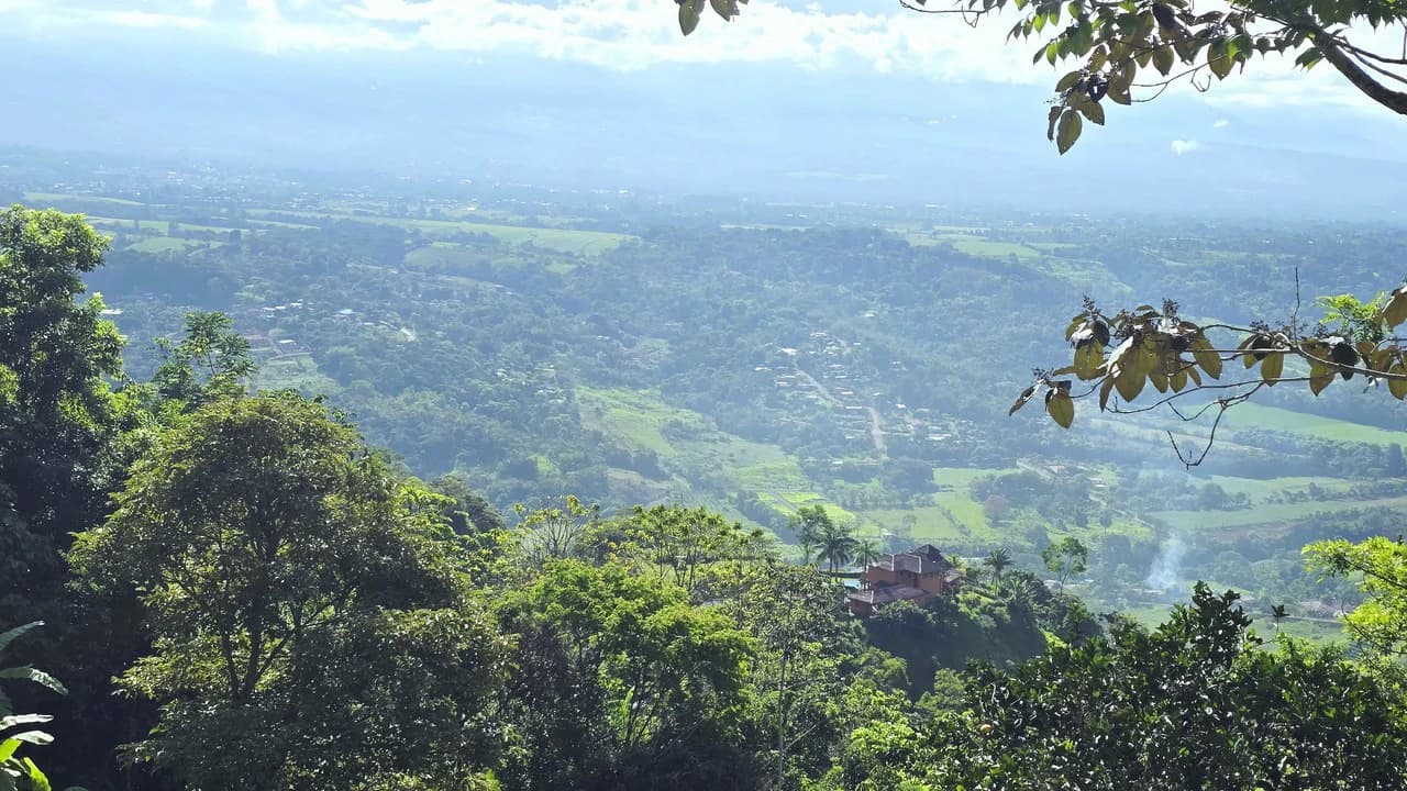 Mountain Agricultural Land For Sale in San Isidro del General - photo 18