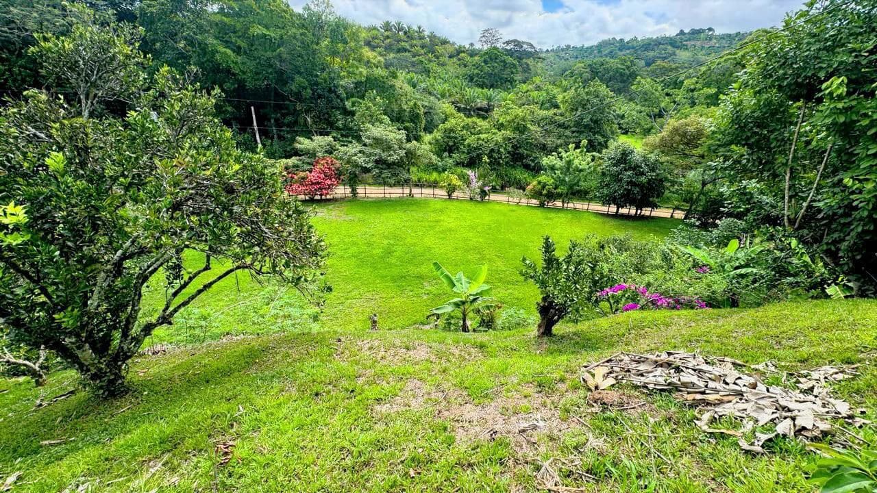 Charming Hardwood Cabin with Fruit Garden Near San Isidro - photo 58
