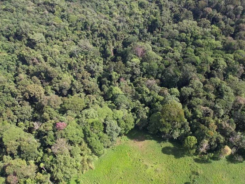 69.16 Acres Property | Mountain & Top Ocean View with Small Home - photo 10