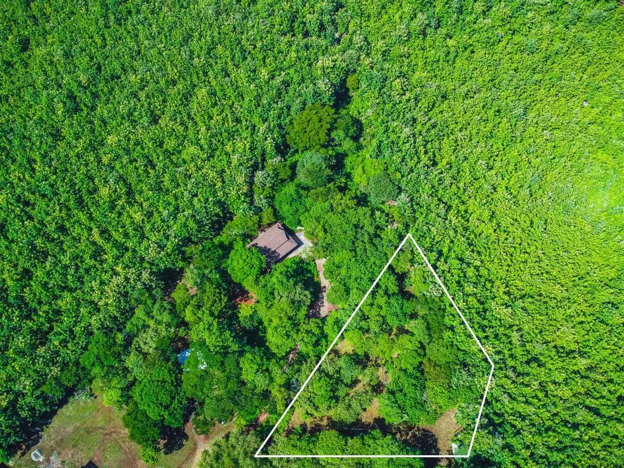 Residential Lot in Rancho Tranquilo - photo 3