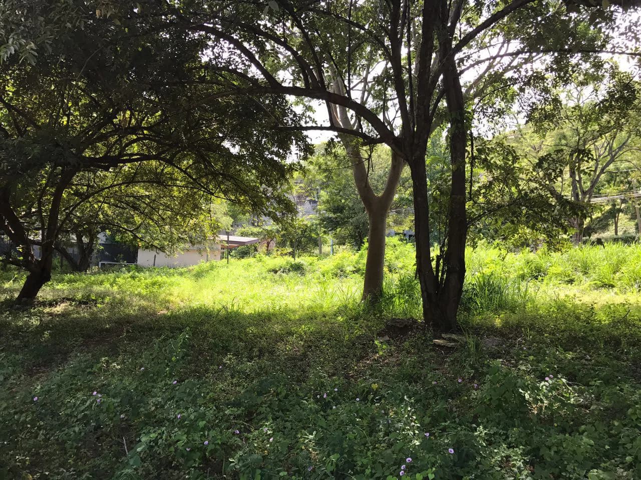 Commercial Property for Sale Located in Playa Hermosa, Guanacaste - photo 8