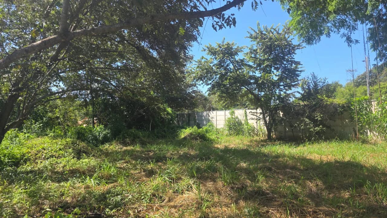 Commercial Airport property for sale with public road frontage on route #21, close to Liberia International Airport - photo 7
