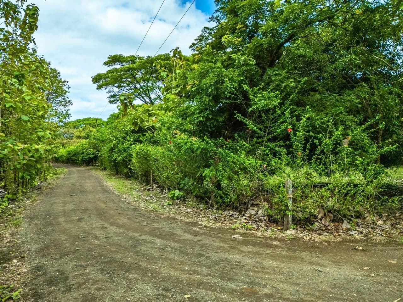 Marbella Dream Lot: 2.4 Acres of Natural Beauty Near the Beach - photo 8