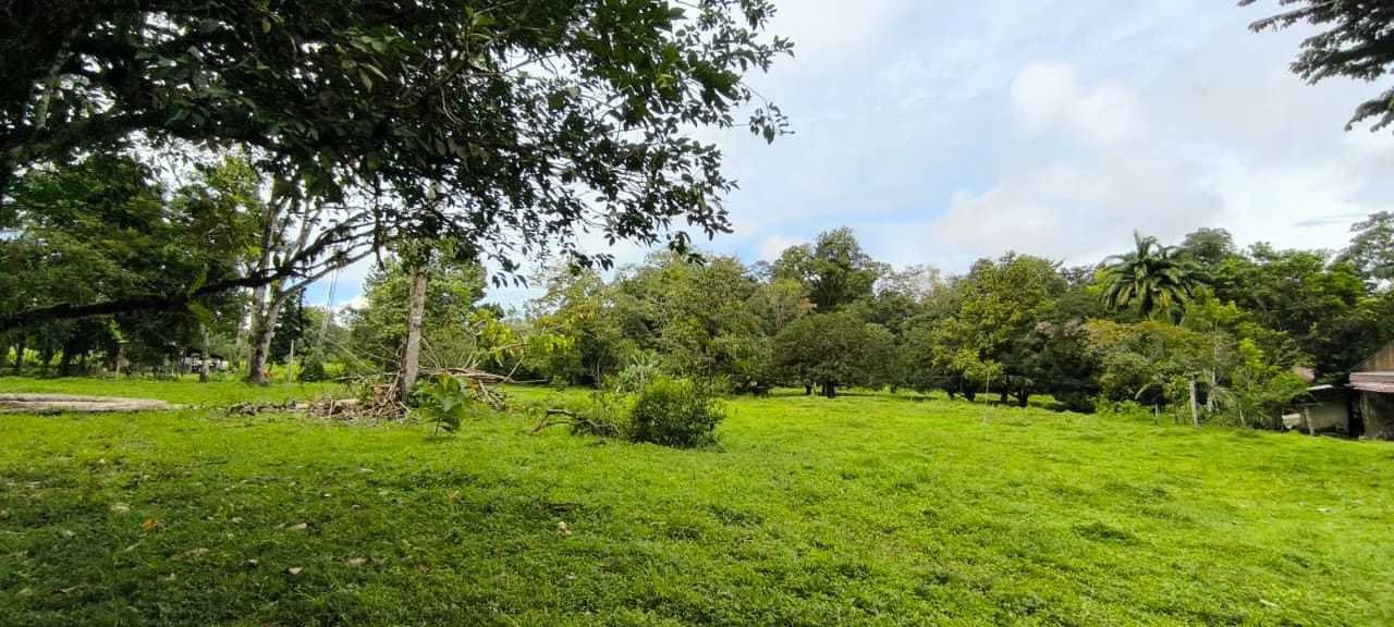 23 Acres of Paradise at Bahia Drake - photo 26