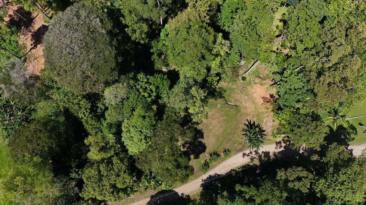 Private Beach Community | 1,708 m² Build-Ready Lot in Ballena - photo 6
