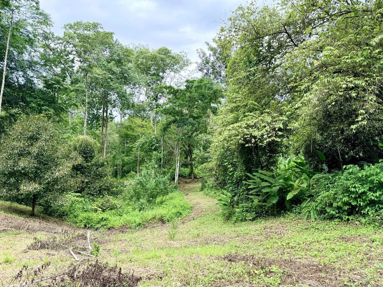 La Unión Road Development – Buildable Lots with River Access in Uvita - photo 7