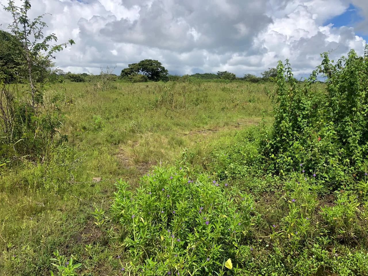 Development property for sale, Building project opportunity close to Liberia Airport and City with beautiful Flat property - photo 10