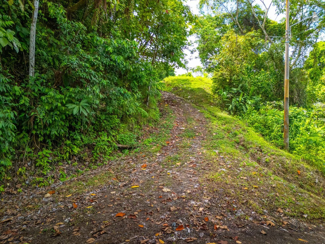 Tropical Paradise in Cascada Sándalo, Tres Ríos Ocean & Mountain Views | Gated Community | Abundant Nature - photo 9