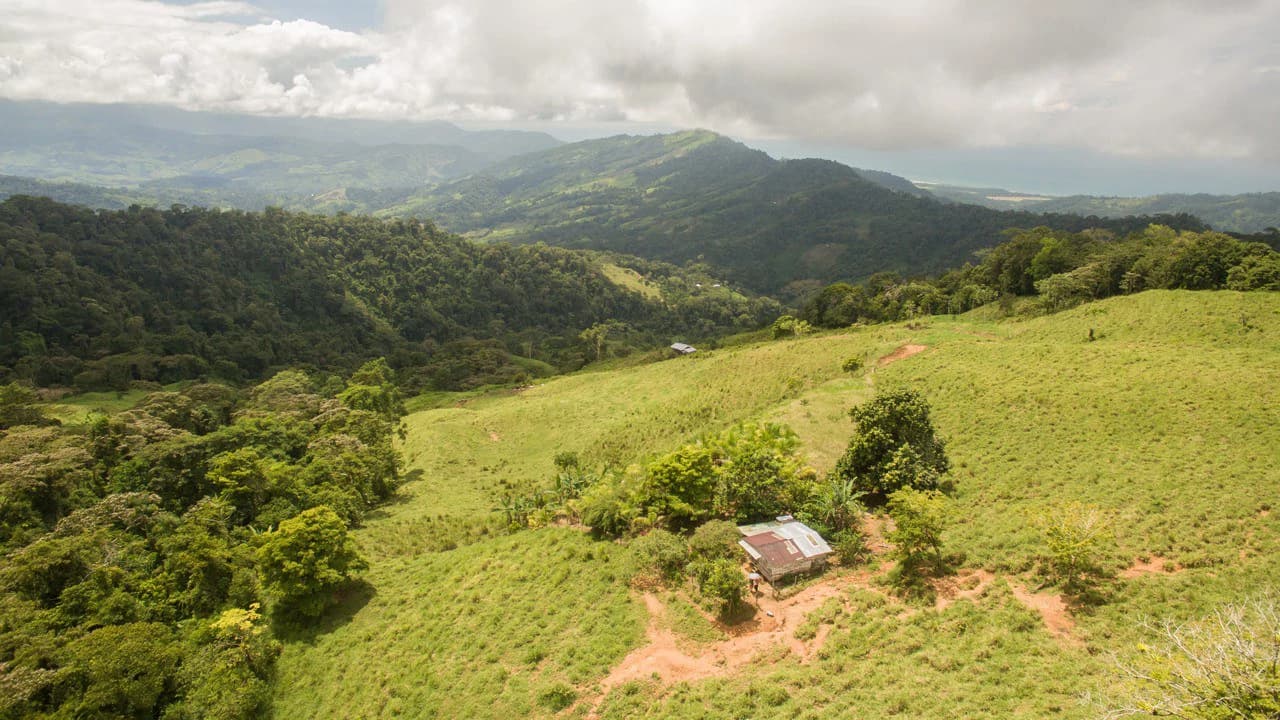 Off Grid 70-Hectare Farm with Stunning Ocean Views and Freshwater Springs - photo 23