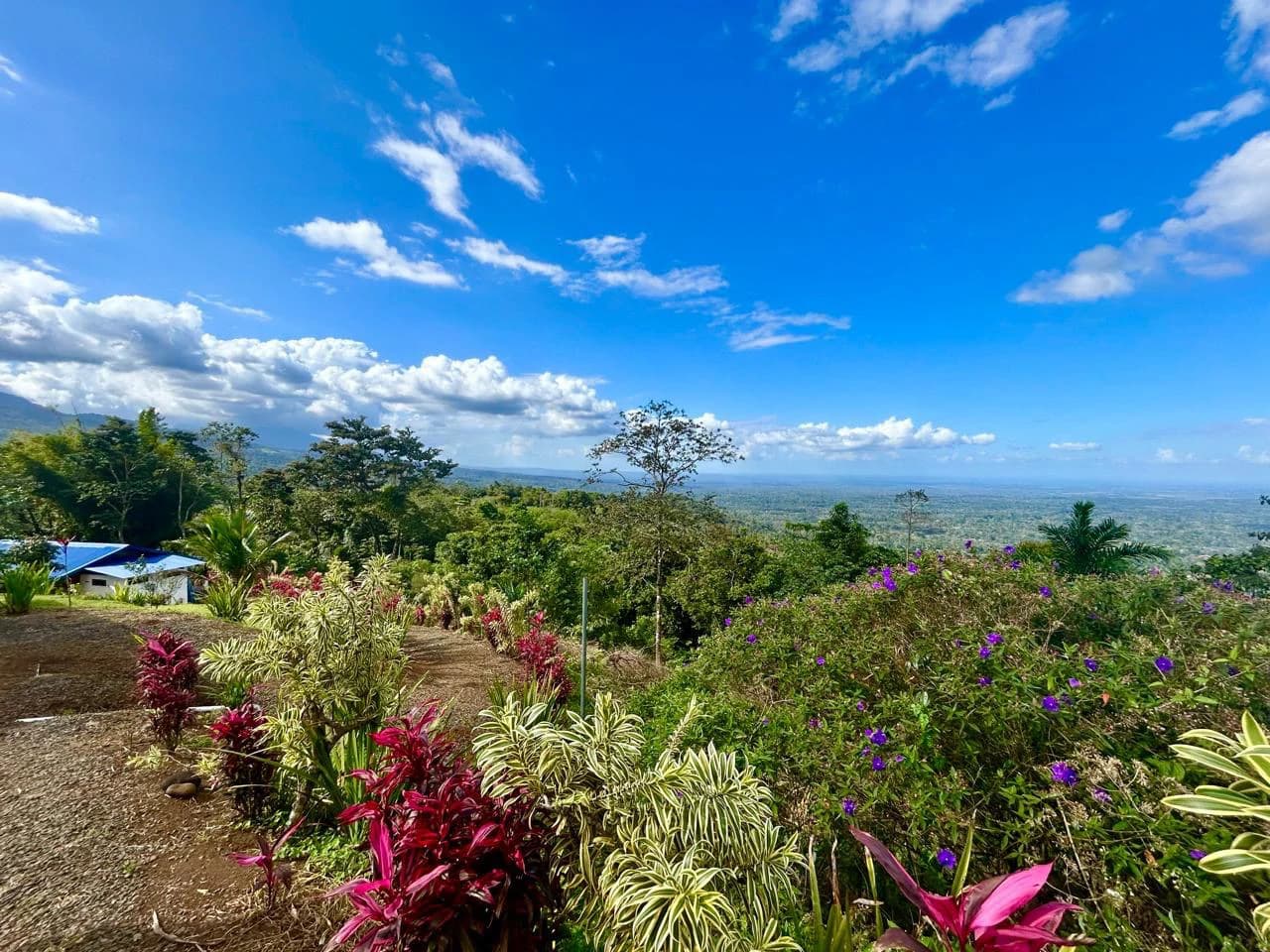 Costa Rica Ecolodge Retreat: TURNKEY COSTA RICA ECOLODGE & WELLNESS RETREAT | 28 ACRES + 5 GUEST CABINS | 45 MINUTES FROM LA FORTUNA - photo 40
