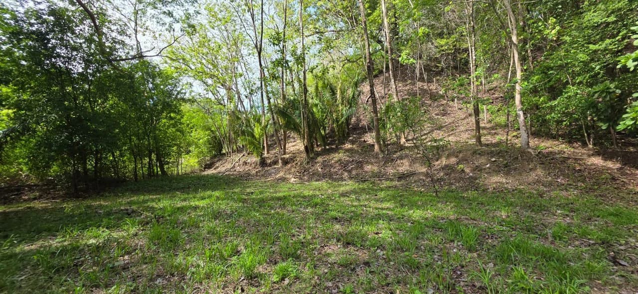 Lote Ceiba: Beautiful Peaceful Lot Near Barrigona Beach - photo 1